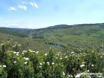 Cascadas del Aljibe; agencias de viajes para grupos; senderismo hoces del duraton;ruta gr 10